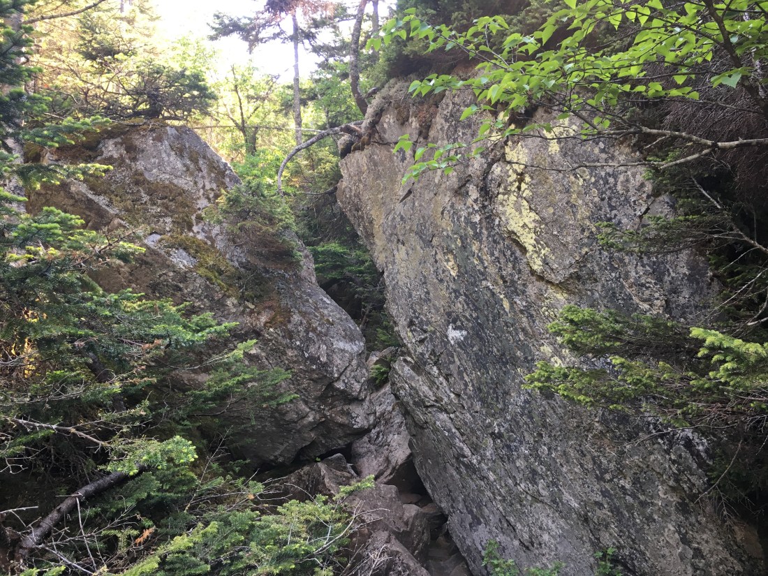 BDA25D8B-19E0-42DA-98DD-5EEC161B2146