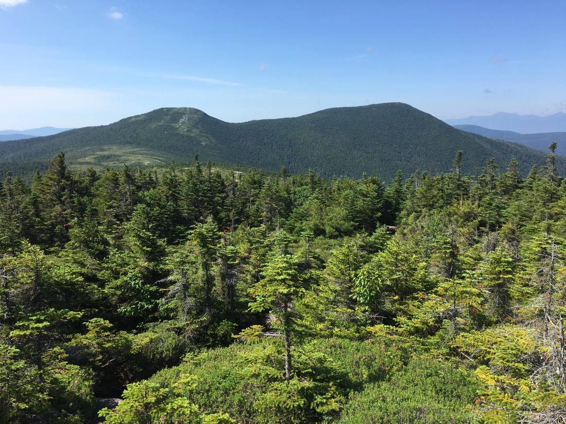 C9F2DFB6-3A7E-4C70-B22D-B8BDF5FEF7EB