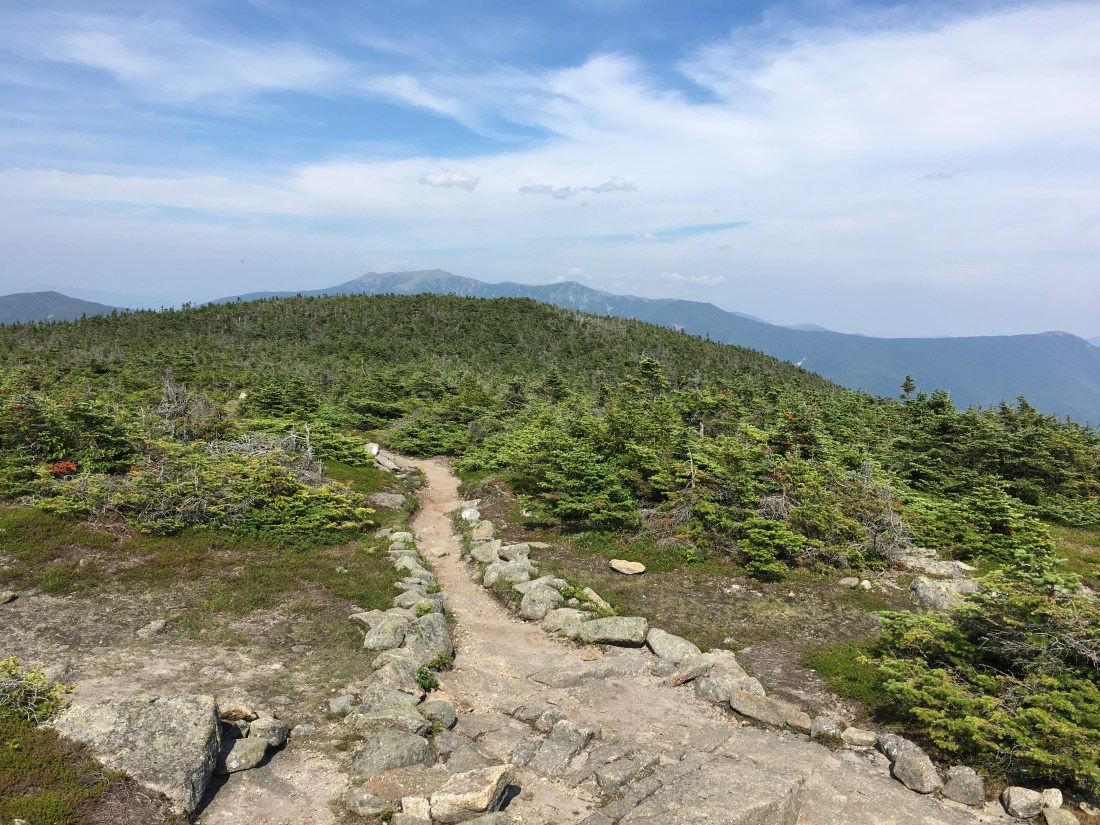 D0E19217-8A2E-4354-809F-FADB28C95D78