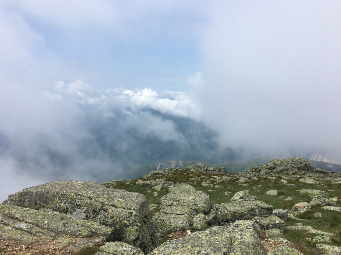 E0C7FC7A-6D9F-481B-9B46-904889360DDE