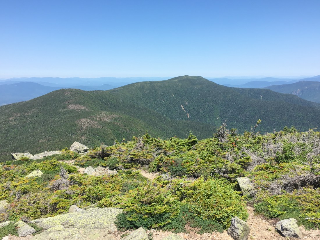 E3534338-5455-4F72-808A-7D2140D36820