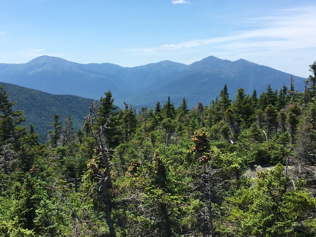 E96D81E1-C3C7-4FA1-917C-F44874427F1F