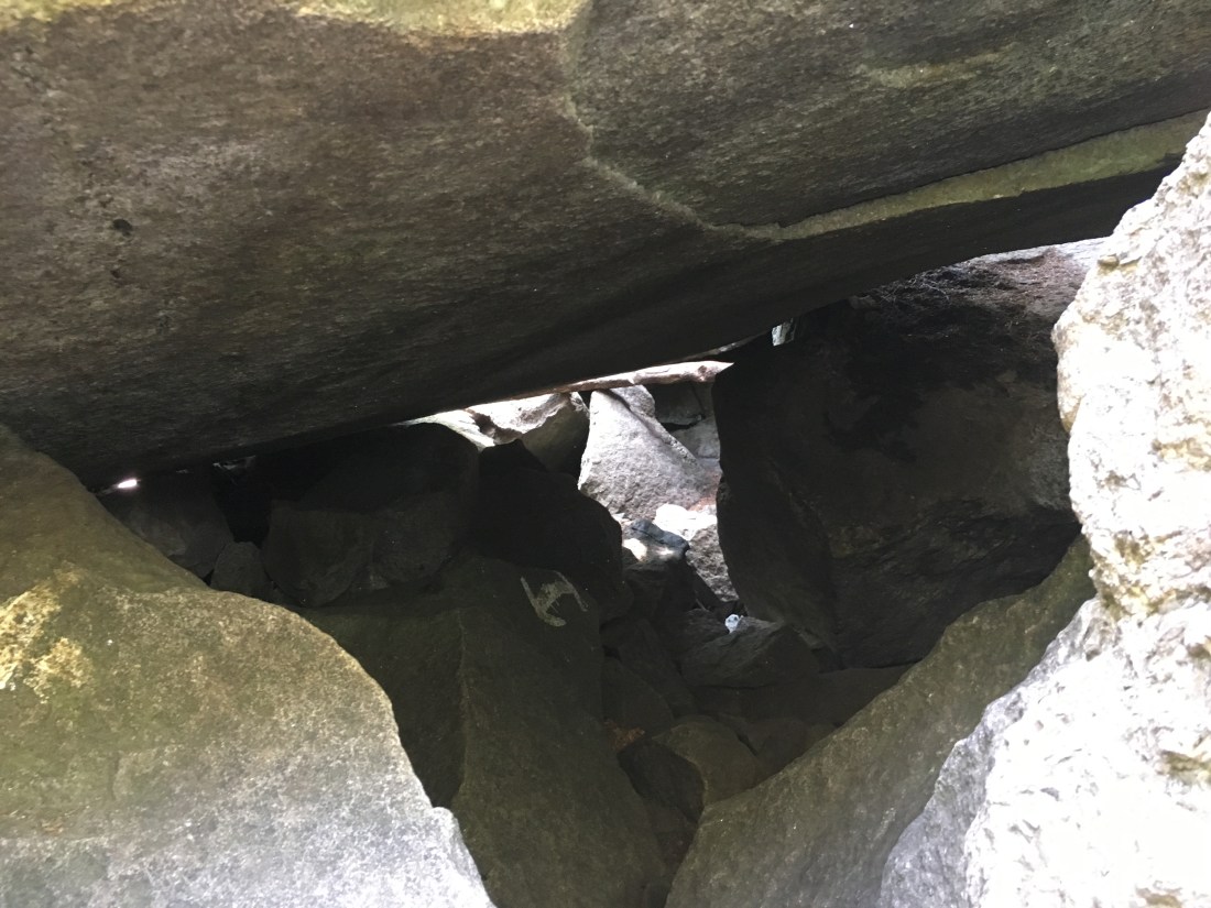 EAD18A58-1CFA-4594-9869-DA75730B6B10