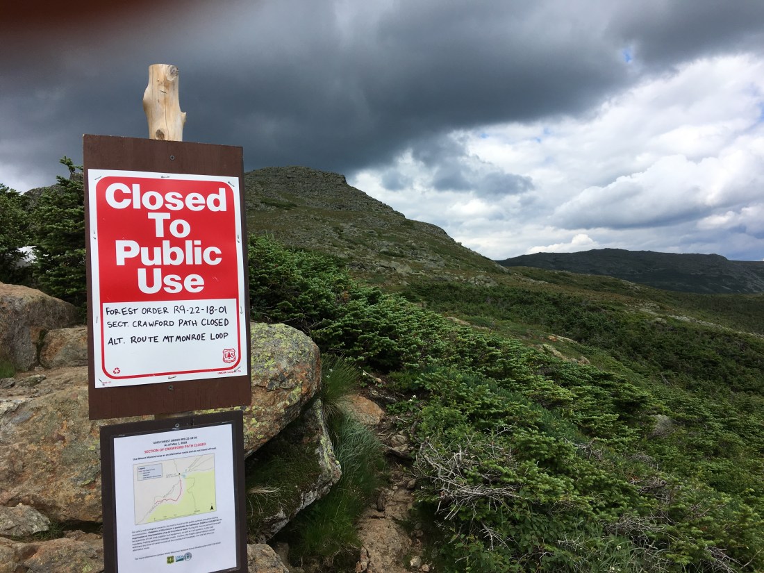 F386A06A-4426-427D-B832-0994159DE6B9