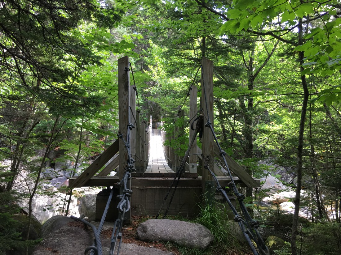 F9117989-BA20-40A1-AEA2-F36CDFF40AA0