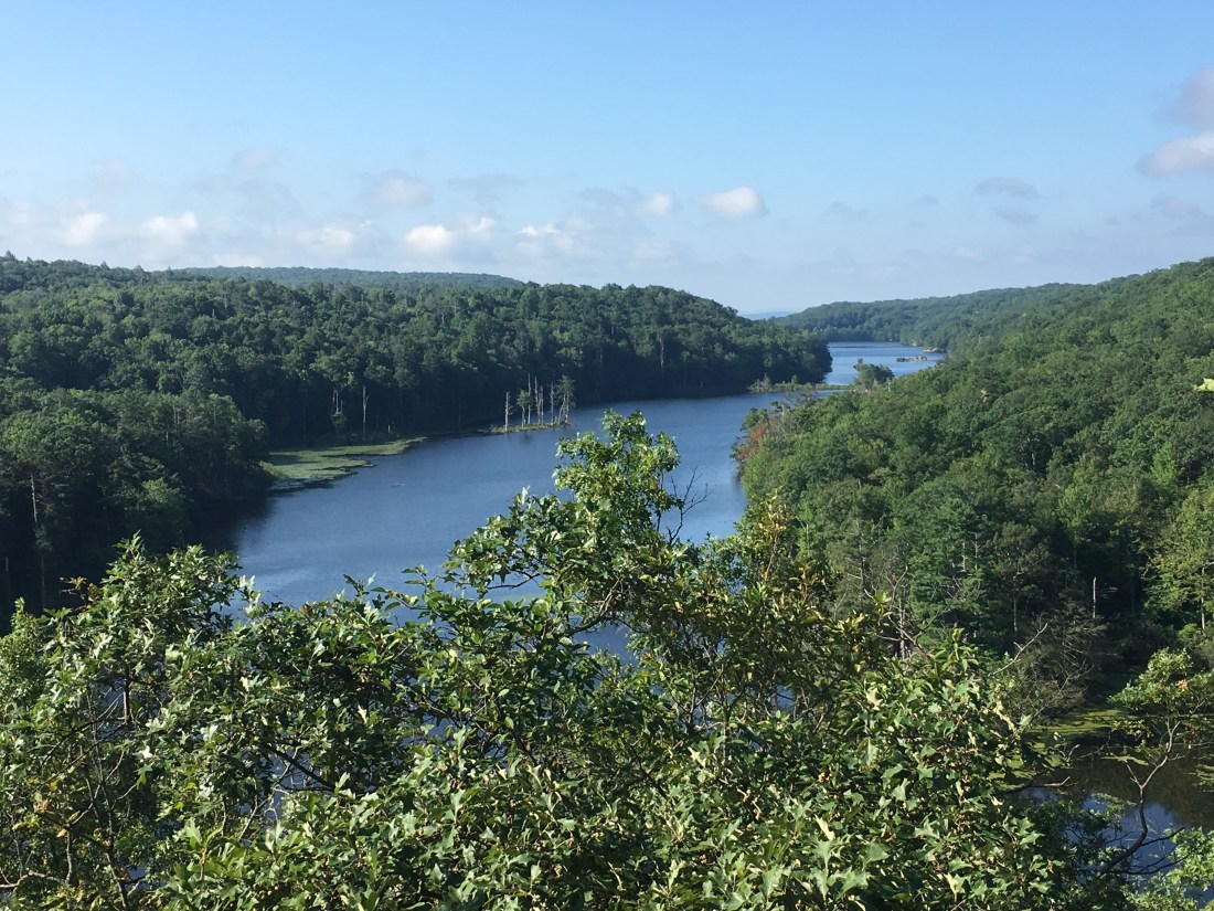 0323F639-FAF6-423E-9D61-E676B954DDD4