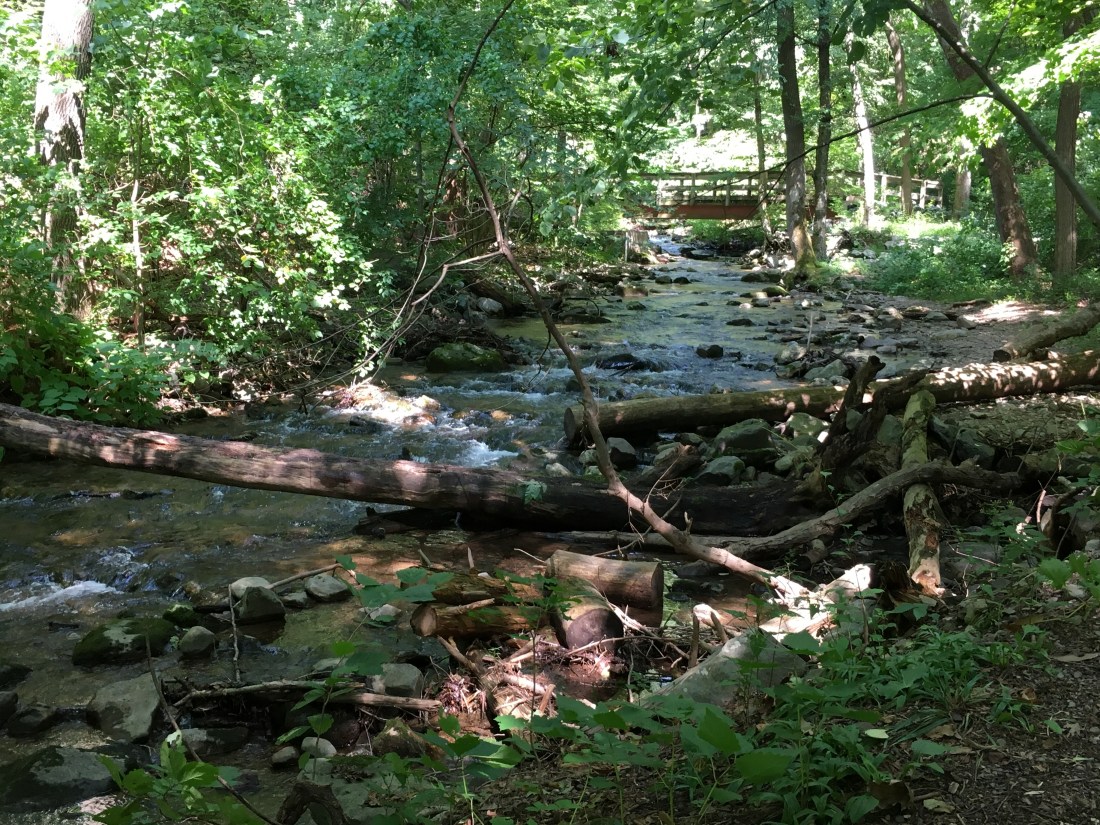 1683D1A5-31D0-4D66-A89A-44B09941A319