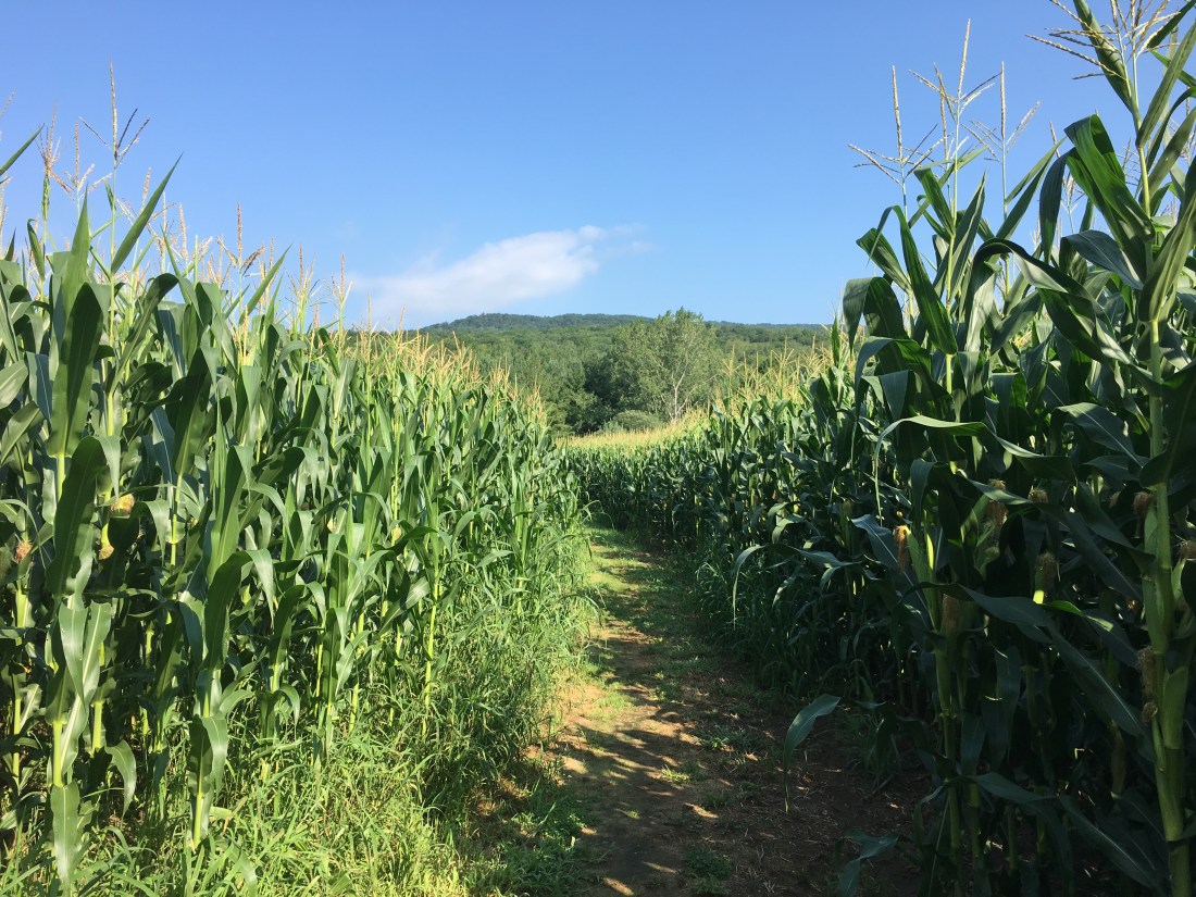 17494026-3BE6-4A5A-8052-454B7E21F7AE