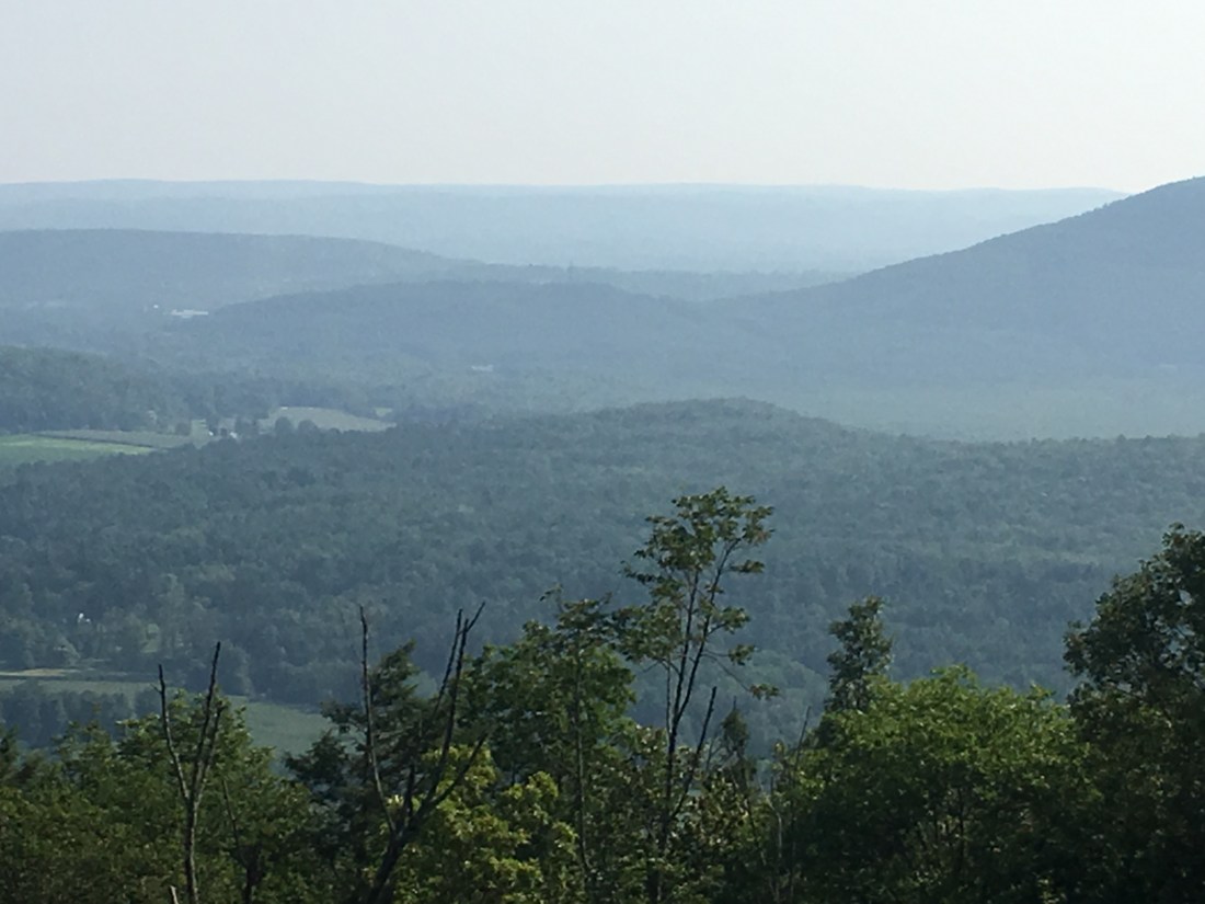 2BAF0ED6-CA5B-411F-8C25-1EF36EF7B5EA