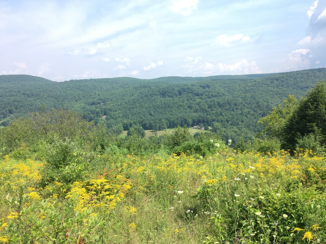 32A23E70-565B-4C58-A9EA-4A4D11EE335D