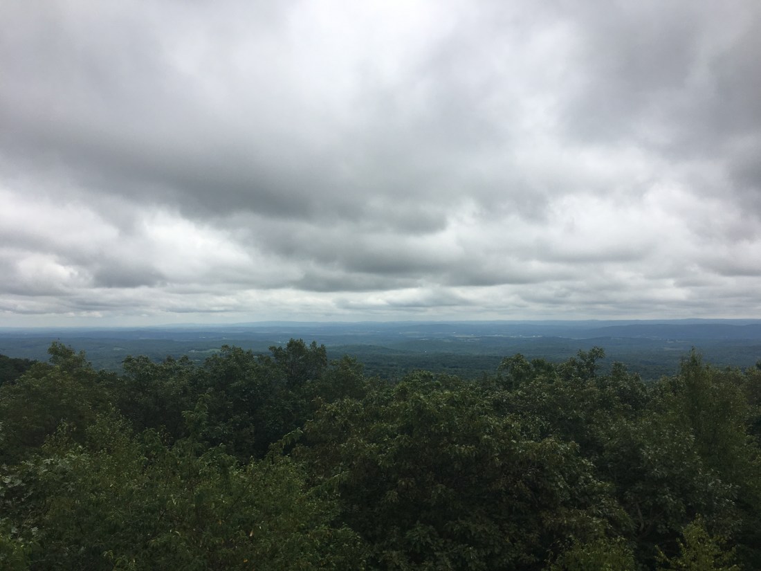 37710404-DE56-412C-B251-7D3EF00E8977