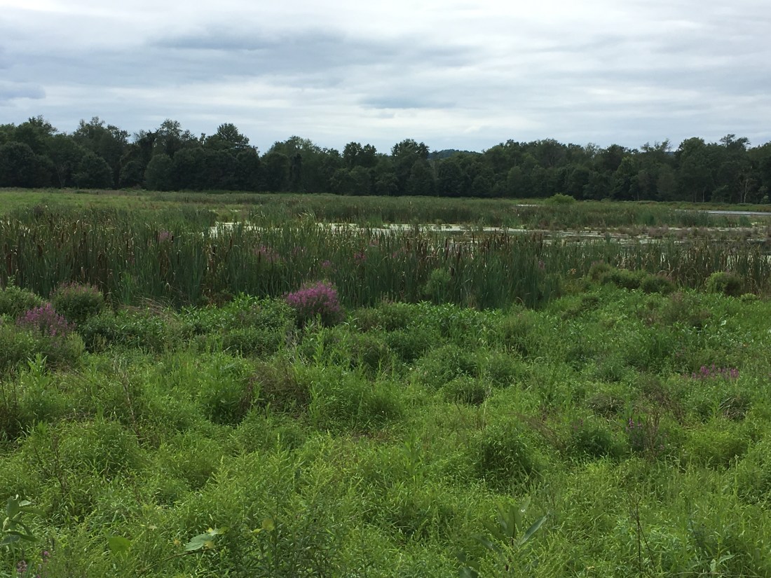 40A521CA-75BF-49FB-91CE-532D939C2A66