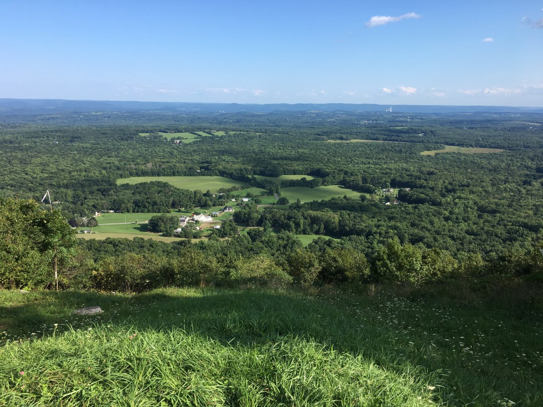 4417528D-96A3-4F33-9137-89D74D34E6A8