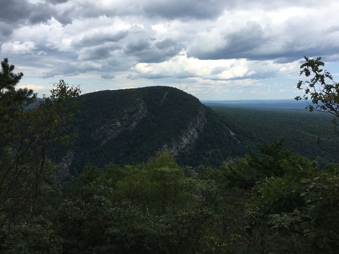 471CABCE-7AF5-40F6-A249-42052CBC8256