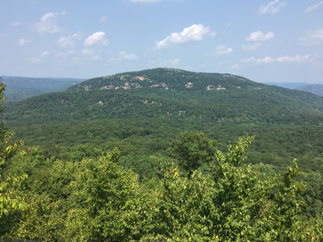 5A231E62-8D05-48EF-8CBB-F369AEE45970