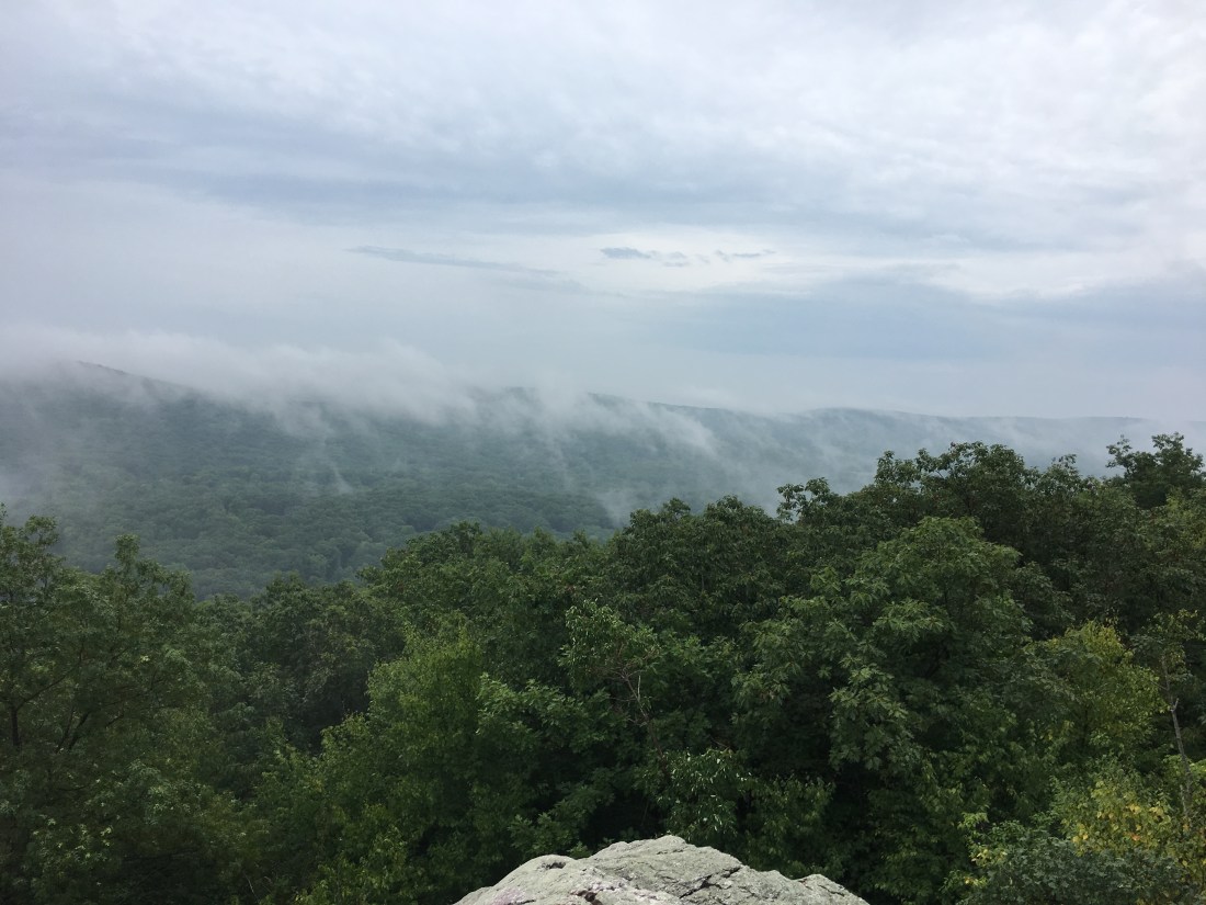 5B9FB3B7-A895-4A9A-A614-2700364B0A40