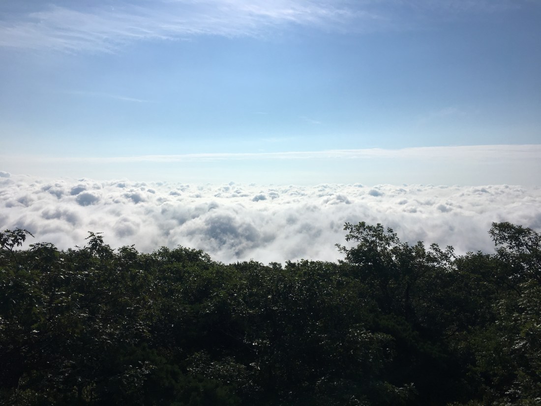 726748C8-1089-4CF4-9F07-D59948D41C9E