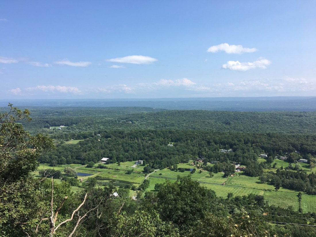 7FCD92BA-3DA5-4DBD-8B6C-DFEFE62243E3