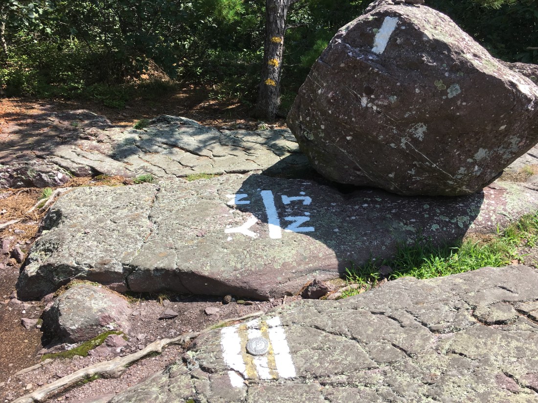 9A5329DD-E9AB-4EAD-B567-EC99DCA217E4