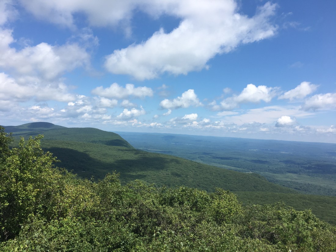 A10EC562-7183-45AB-A8EE-0F388DF60BE3