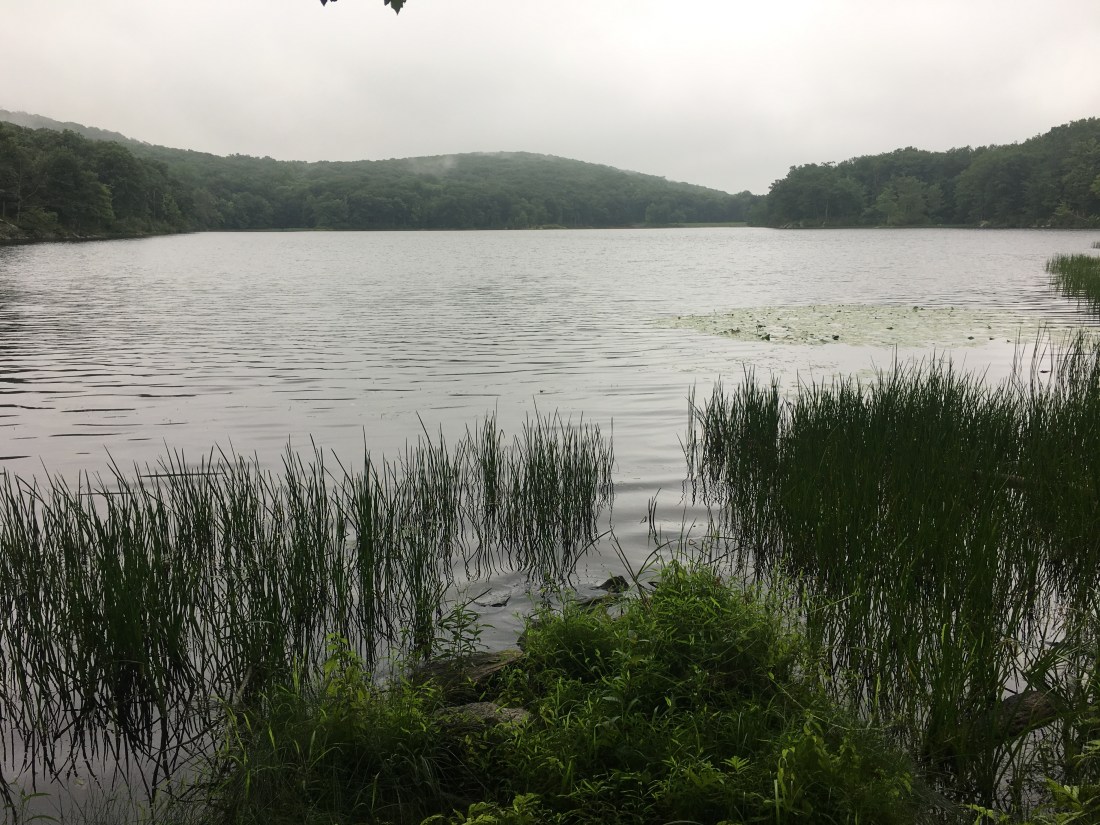 A6C13FD6-14CC-4ED7-96AC-2EB751D9EC71