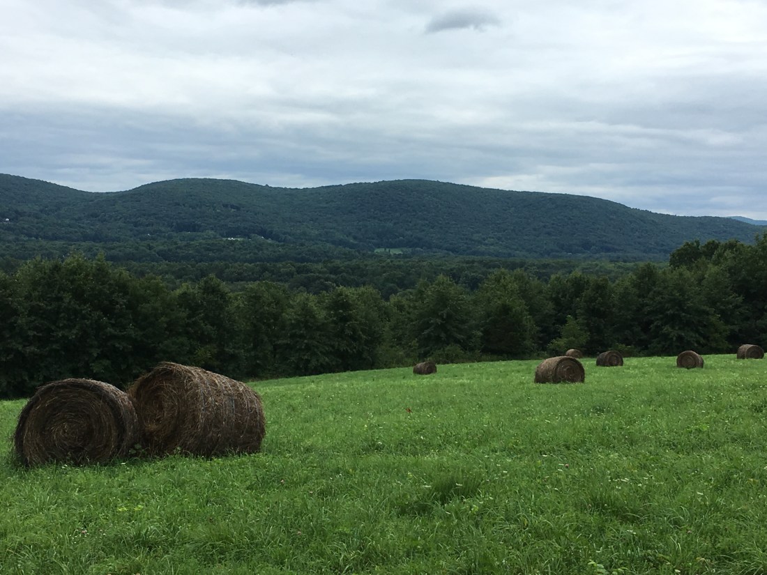 AD02CBB8-F212-43B2-9482-9ADDE1332D3D