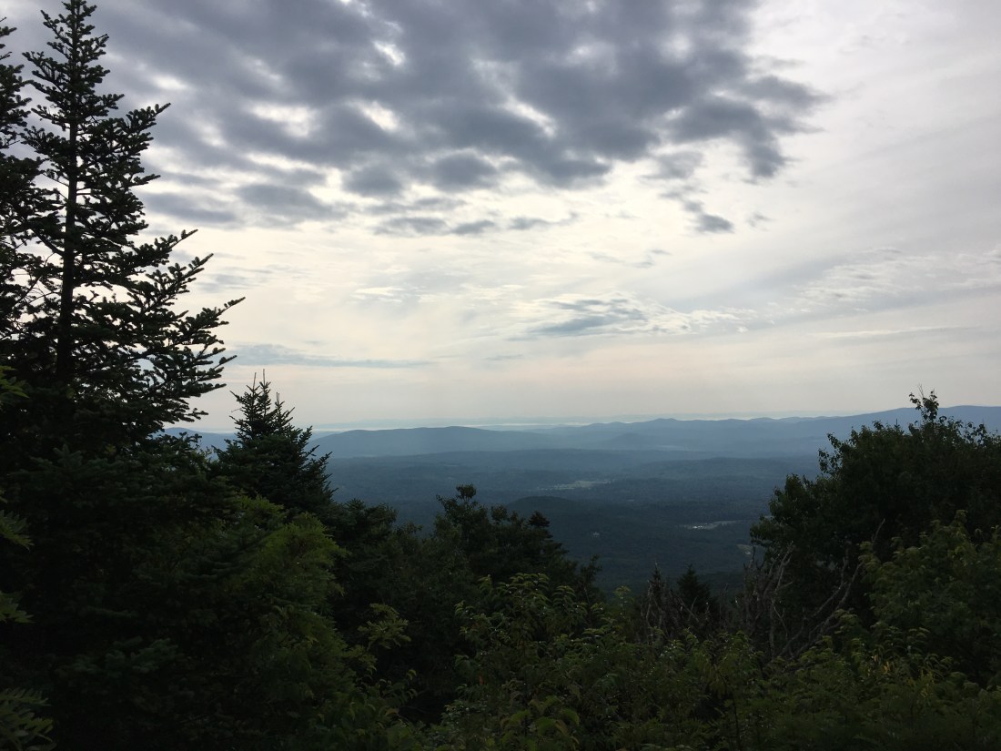 B3470531-0844-428C-B836-03B20F7EB372