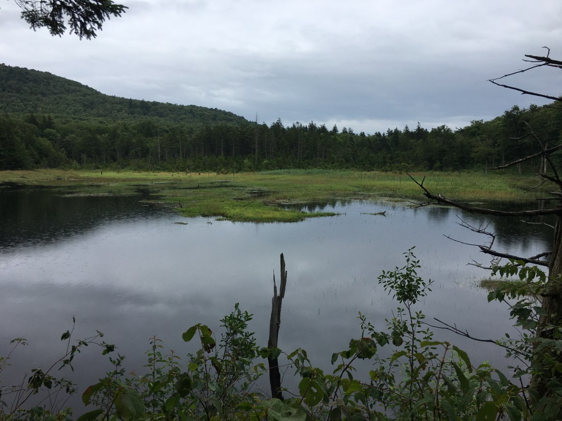 B7F1056A-8209-4E34-B8A2-59C25C23CAF0