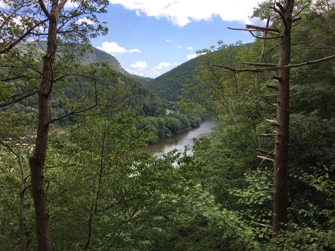 BD9DB220-34A4-46CC-9787-2F8286527D4B