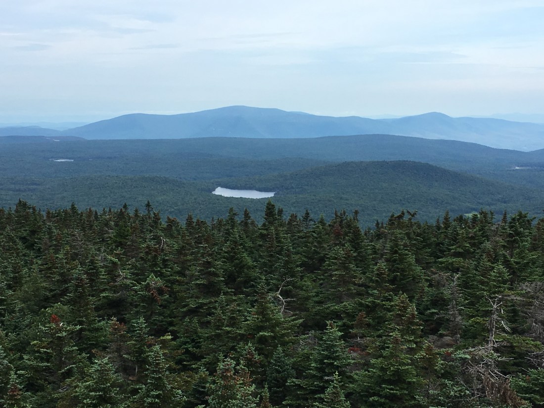 C08A841E-0632-4AA9-A7A2-D6DB7921D1F9