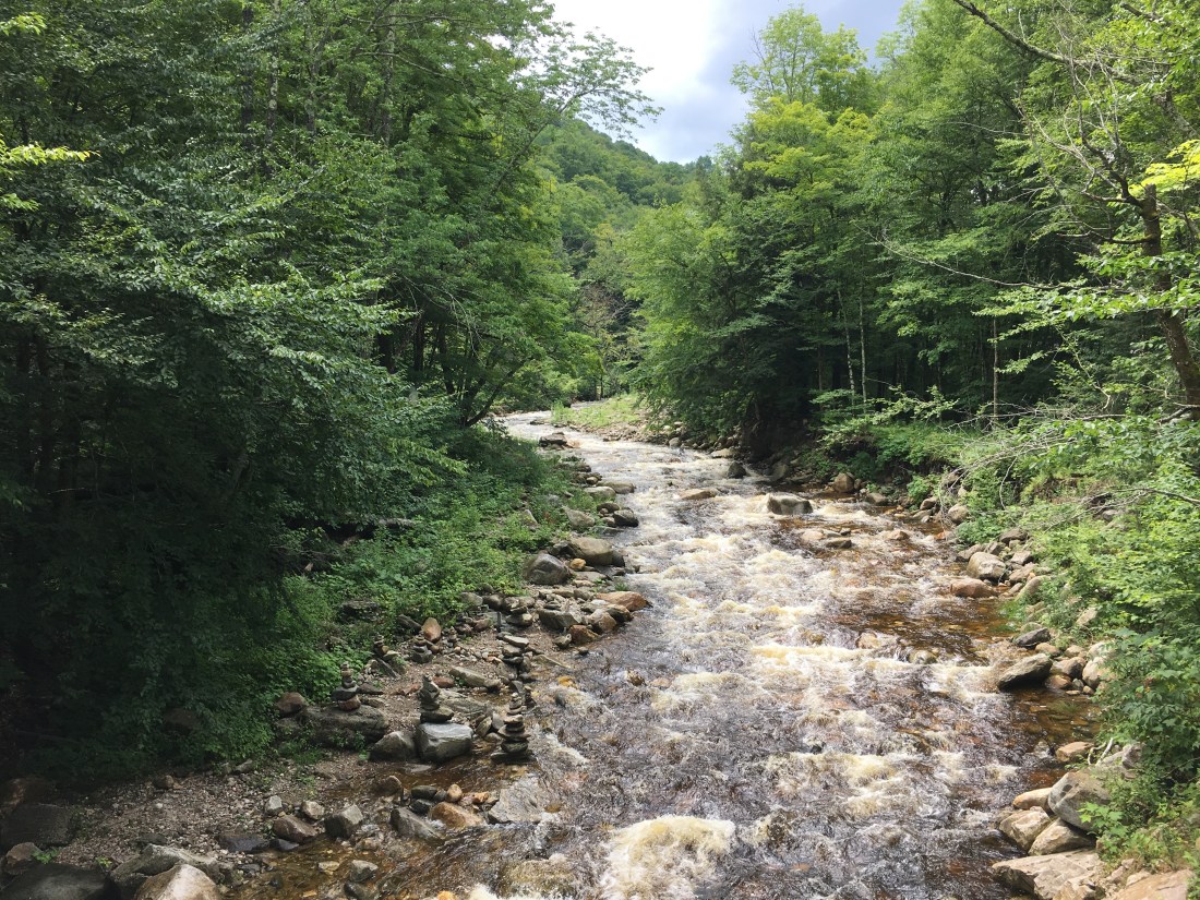 D69ADF17-9D84-404A-9551-AE9FF451C708