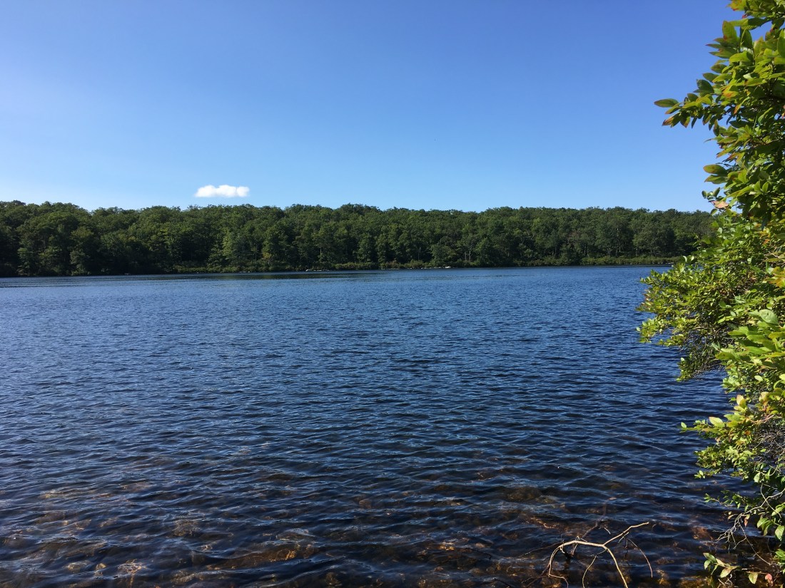 E936D2B6-8E22-4475-B002-F2CDF6228672