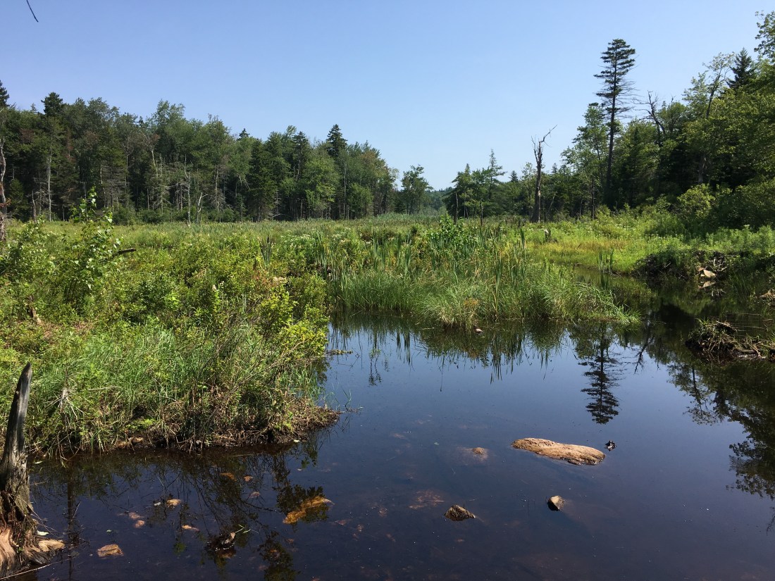 E9680EF5-486D-4689-BA24-3170C1DB624A