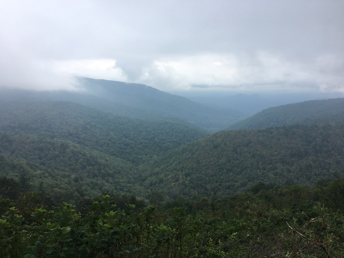 2CE384C1-5781-4690-8855-F71649BF4CD2