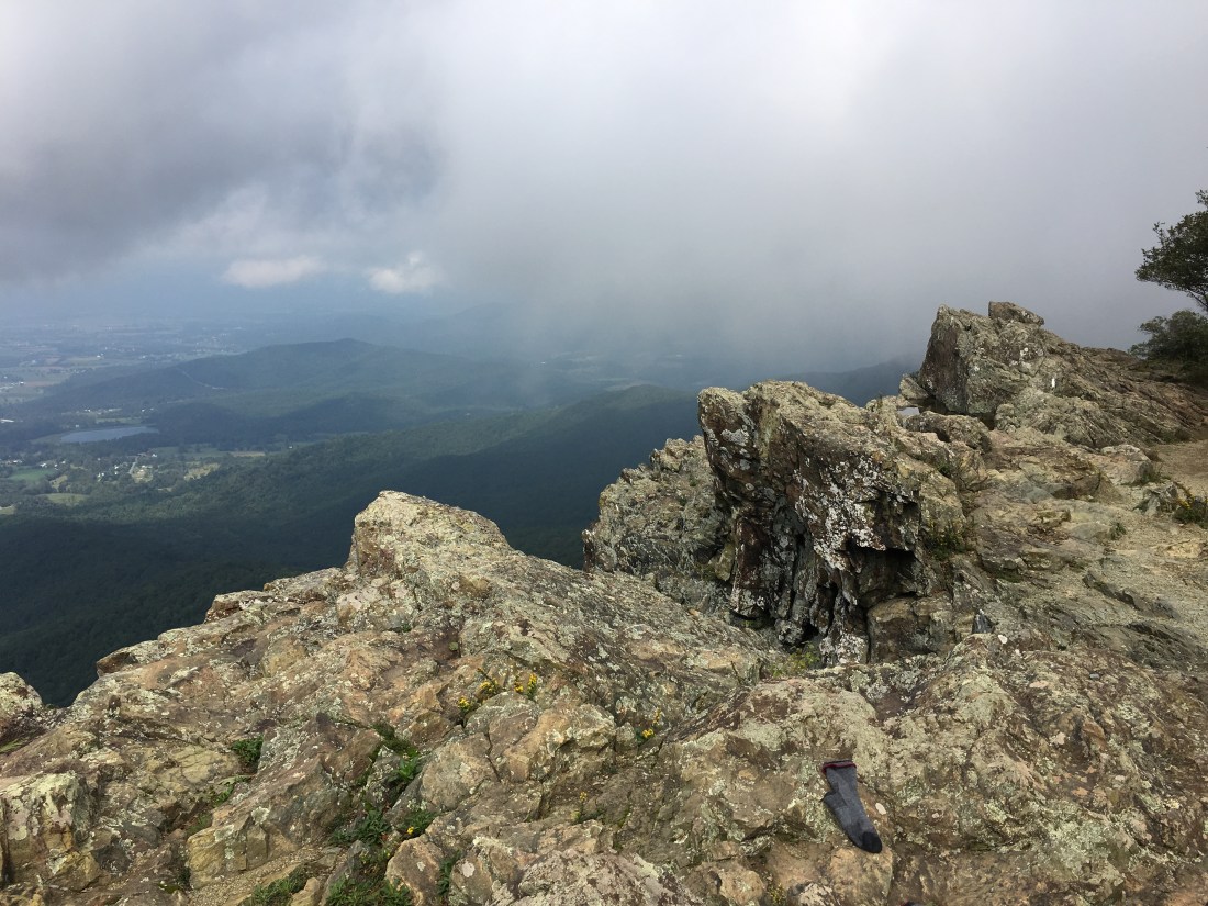 3617EF85-9EE1-42E3-9BEF-E3F8B75FF7AB