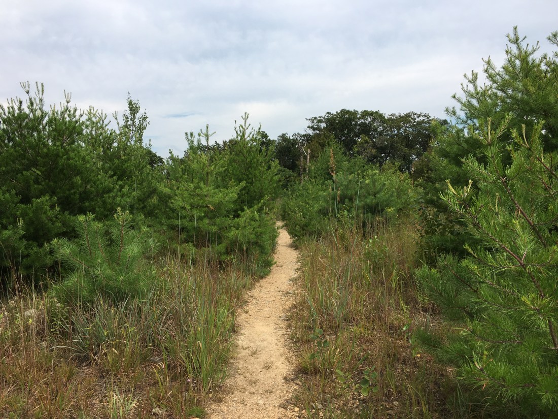 41FE39BE-7D3F-45A3-AF98-428D8D8BB904