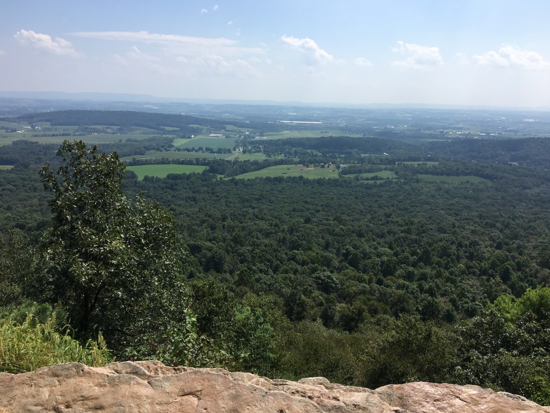 43C9E320-F4A2-4243-8D12-5326839D2899