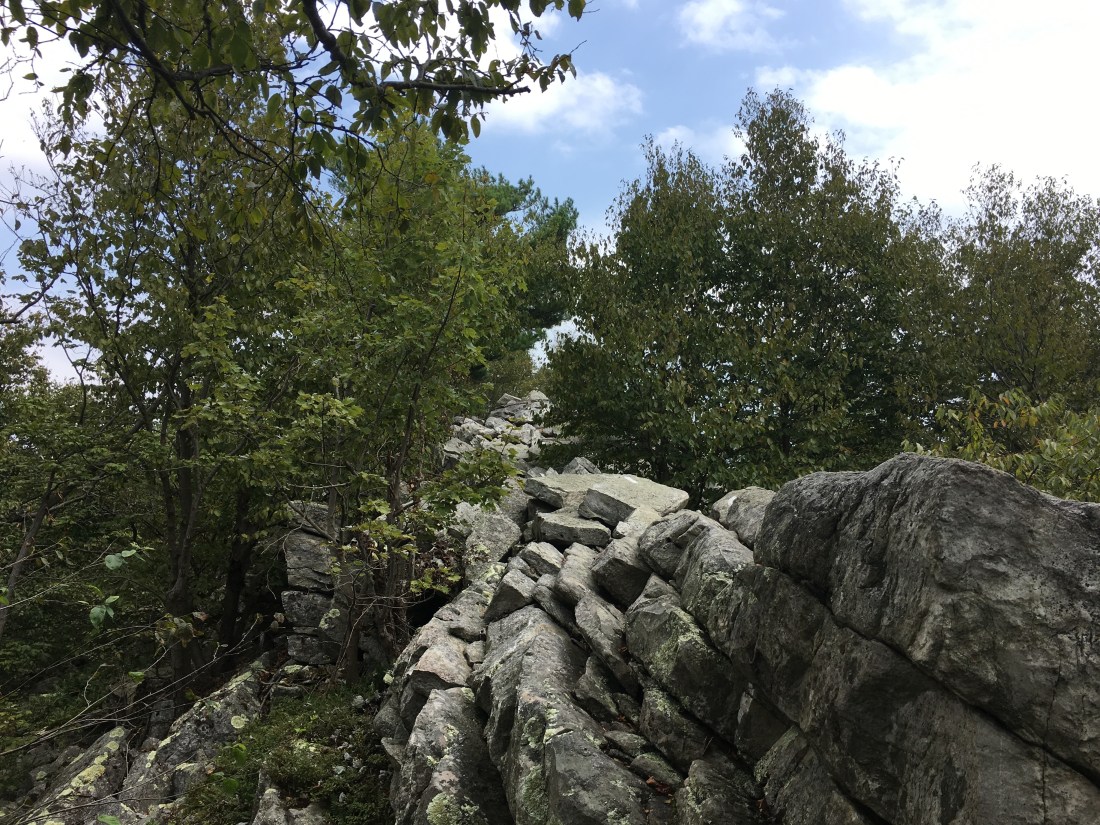 56AD1049-BB9B-44AC-91A1-6968E746C145