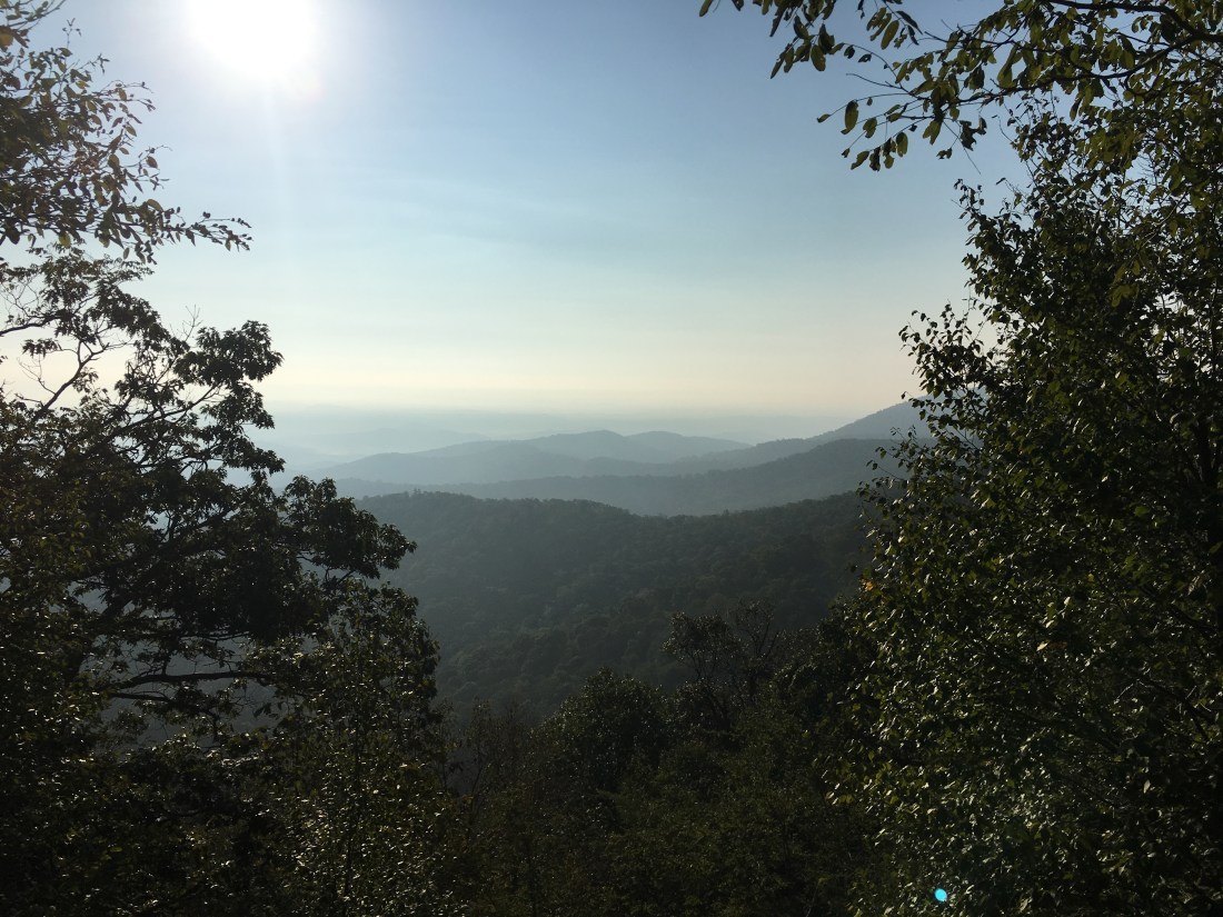 935F1FA4-EE53-4343-A6E1-55B16F686312