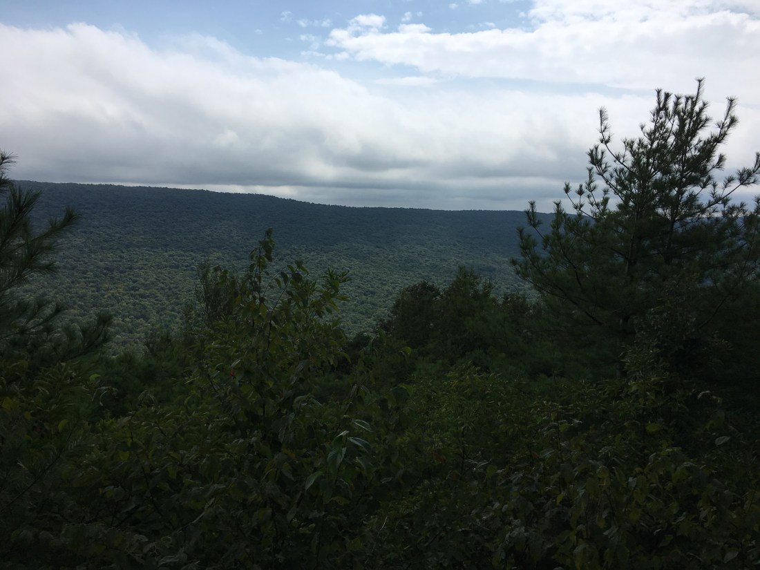 B2A71E52-A206-4886-93B9-1C6FBE4F0D33