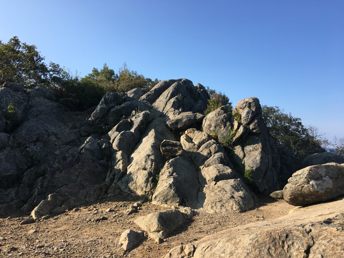 BD573600-9DBB-44D0-BE5E-31EC490504F9