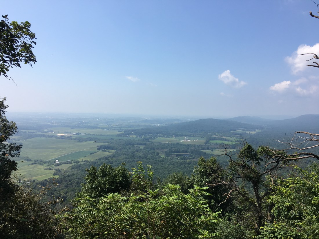 BF00B25E-2700-4590-AB73-5737D6A7B910