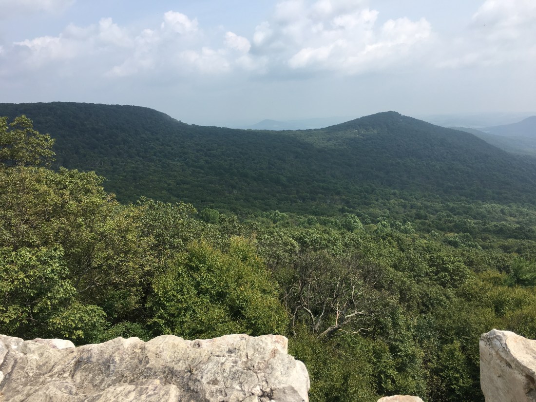 BF974D4F-B503-47AE-B755-2CC564970A85