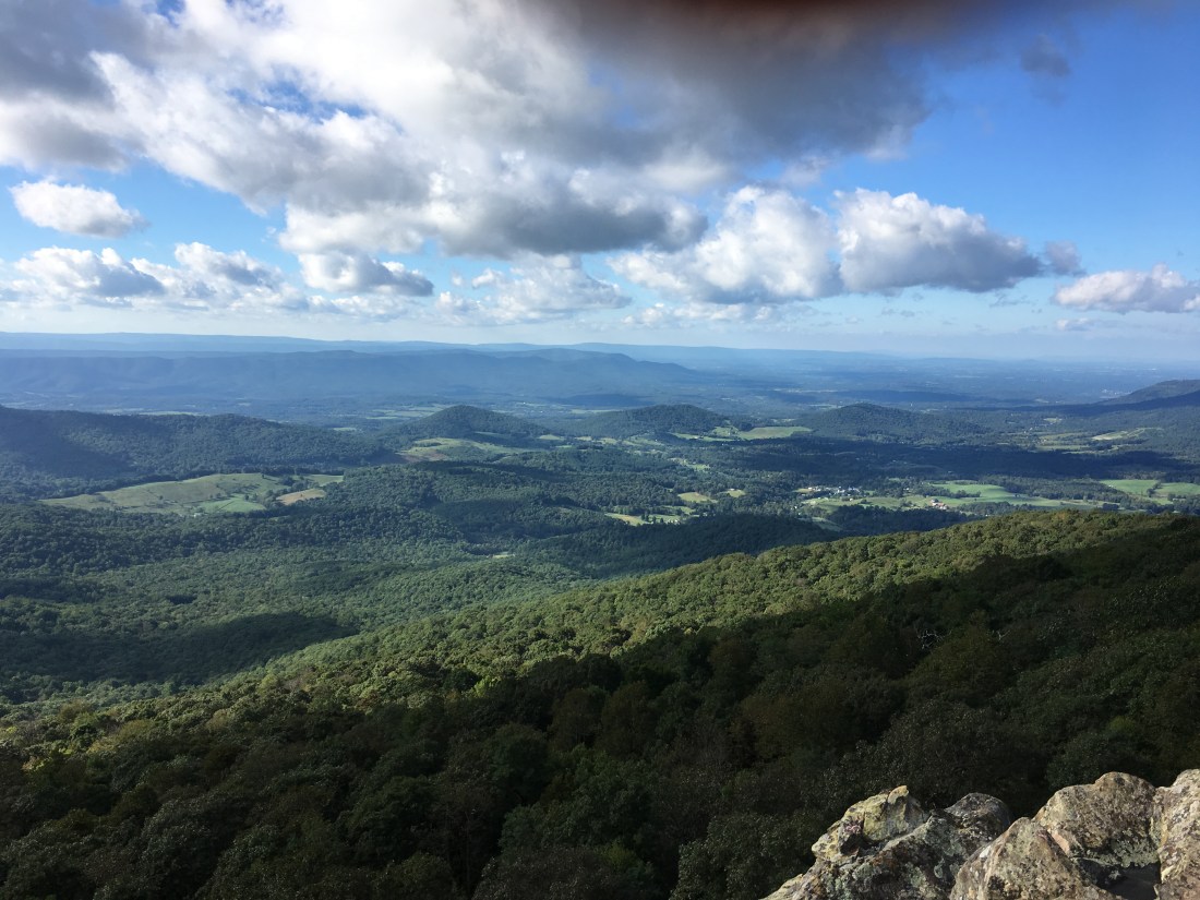 F0369221-CB57-4F18-B184-7CB627A5A887