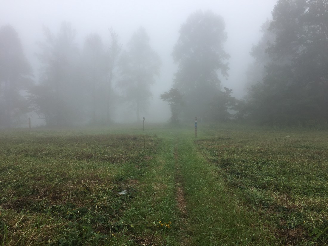 F04EEDB4-2393-4709-BF82-C83895E0DB3F