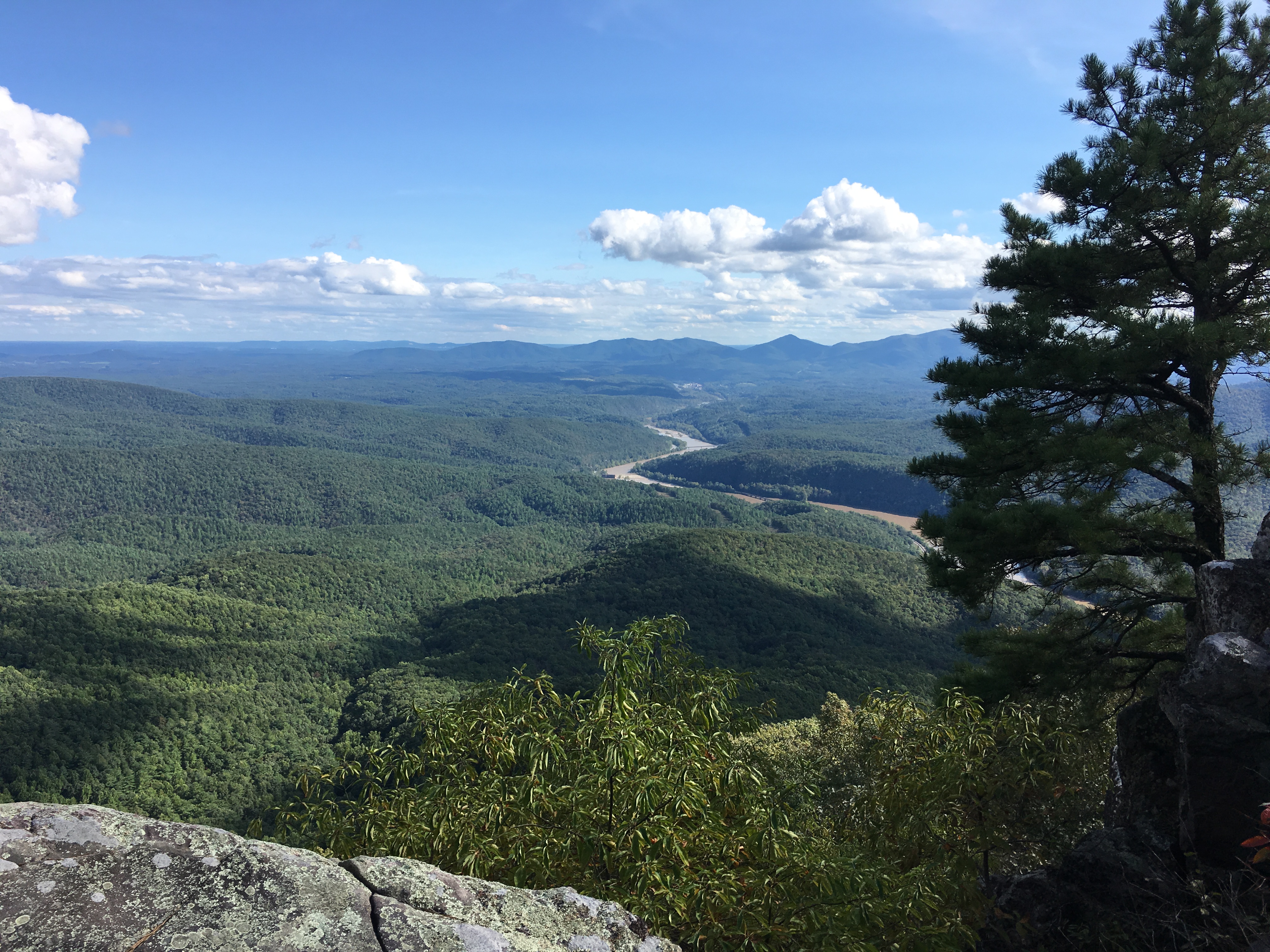 0AF86643-ECC6-4CF8-9FEE-FB19685F88EE