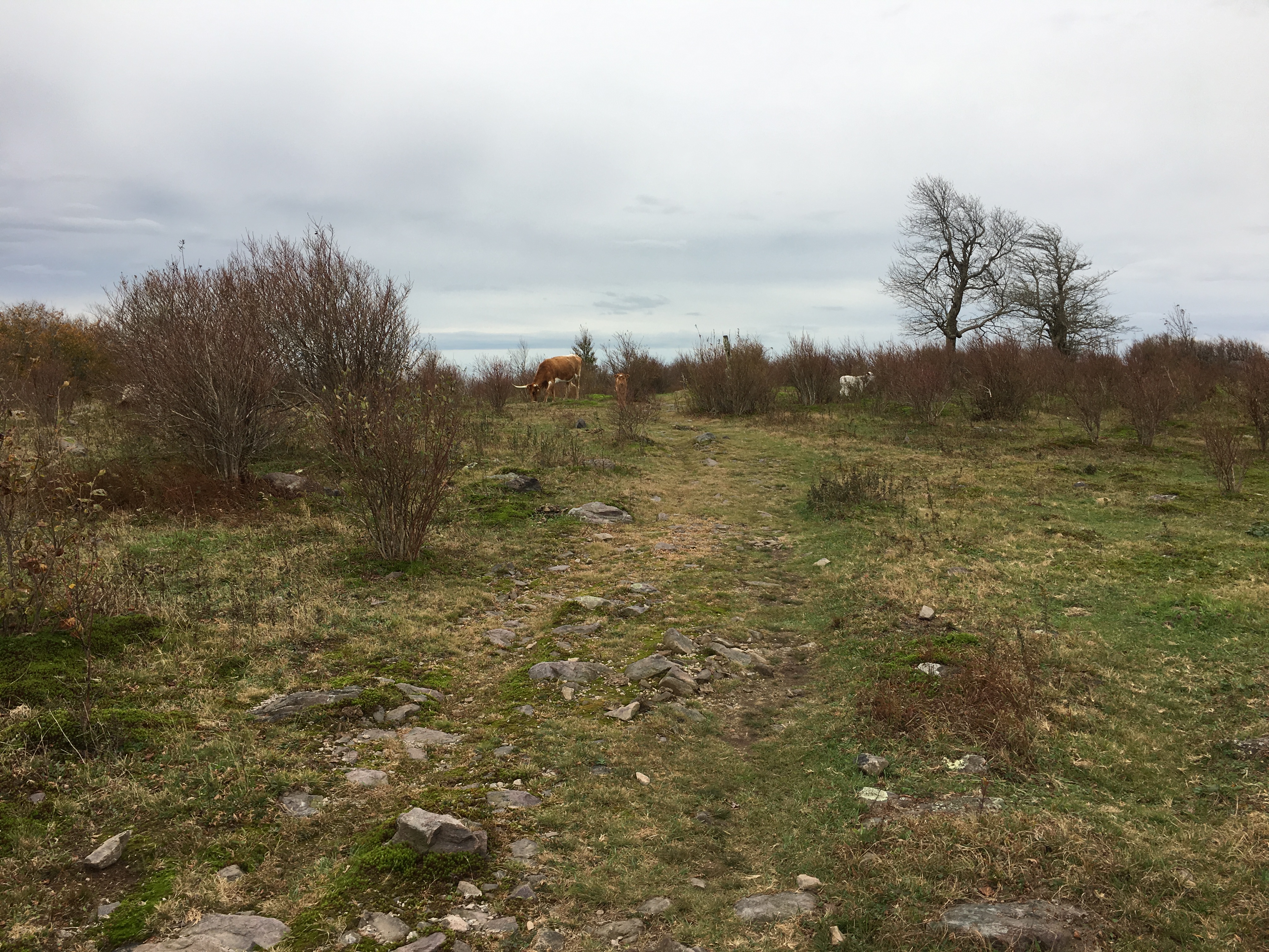 0C2771F5-91AD-42E4-888B-1AB7DA38397F