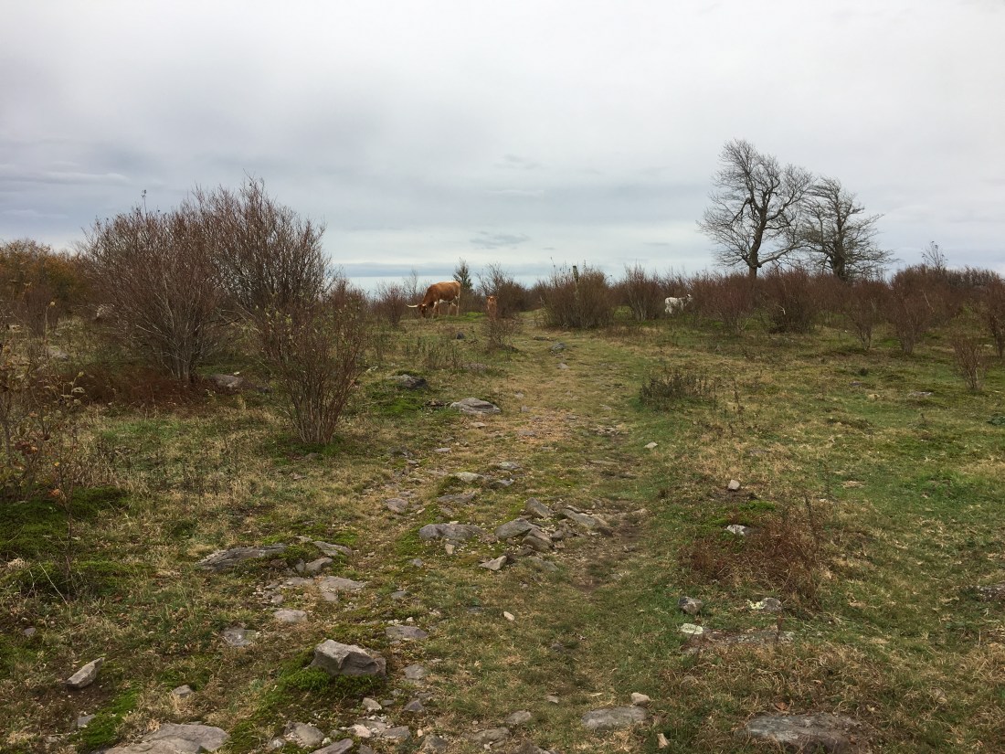 0C2771F5-91AD-42E4-888B-1AB7DA38397F