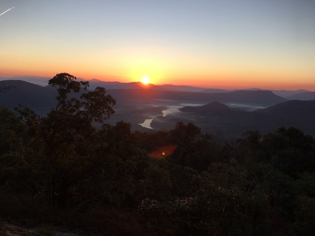 163AFF60-3AFC-4E98-A80A-7AD248ED050D