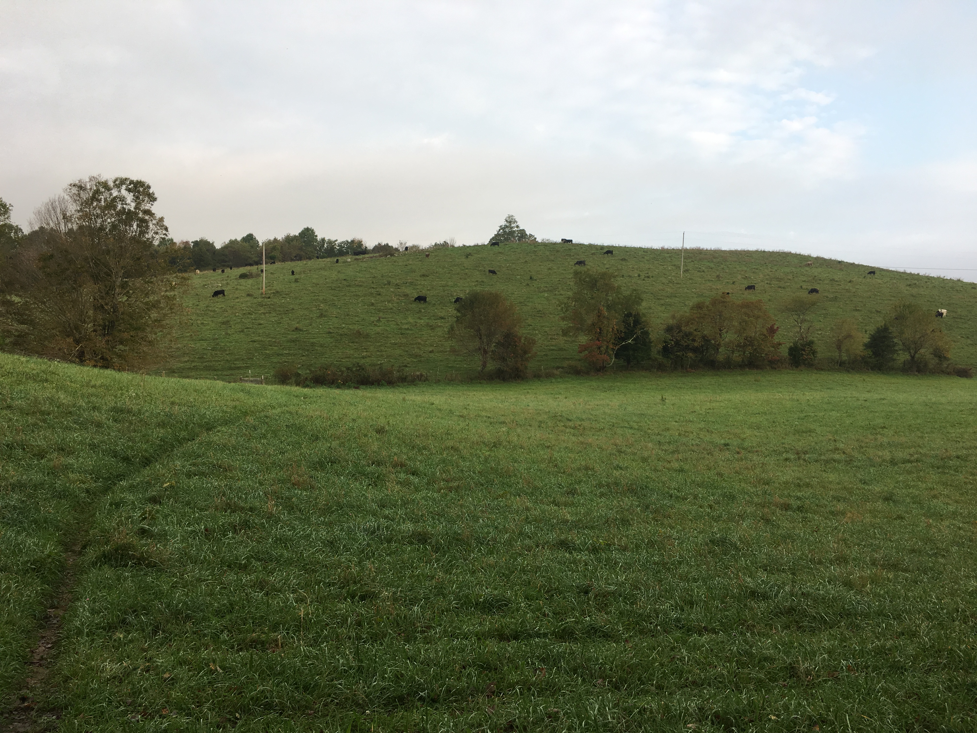 1B35DF87-6AE1-418C-B759-25F8AD6A13FE